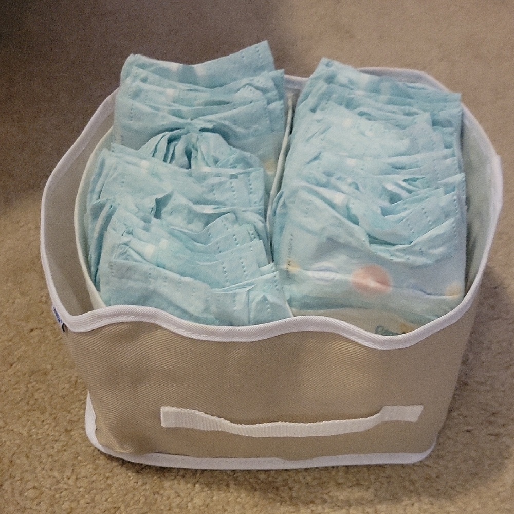 Free W any Other Purchase!Beige Storage Bin/ogranizer